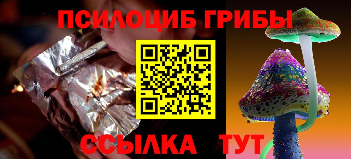Галлюциногенные грибы MAGIC MUSHROOMS  Вход с VPN  Горно-Алтайск 