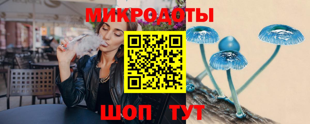 Псилоцибиновые грибы Cubensis Горно-Алтайск